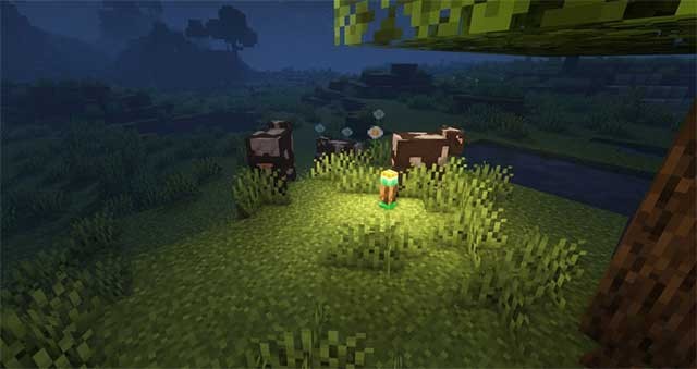 Những ngọn đuốc này rất hữu ích trong việc ngăn chặn các mob thù địch