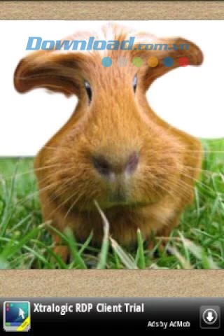 Make Funny Photos cho Android