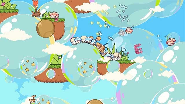 Đoàn kết các loài nấm và chống lại cơn bão lớn sắp đến