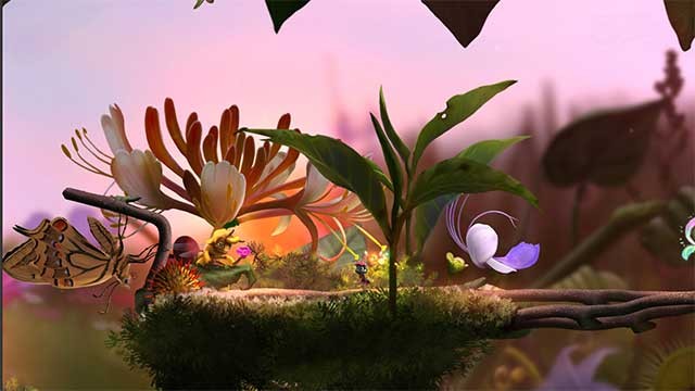 Khám phá một môi trường phong phú và độc đáo qua góc nhìn của một con kiến