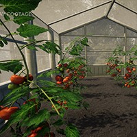 Market Gardener - Trải nghiệm game nông trại chân thực