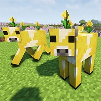 Matter of Form Mod: Khám phá quần xã sinh vật mới