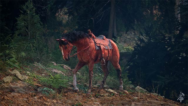Khám phá thế giới Trung cổ rộng lớn, muôn màu
