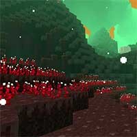 Meetle Mod - Khám phá chiều không gian mới tuyệt đẹp