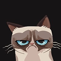 Hình Nền Meme, Ảnh Troll Hài Hước - Download Miễn Phí