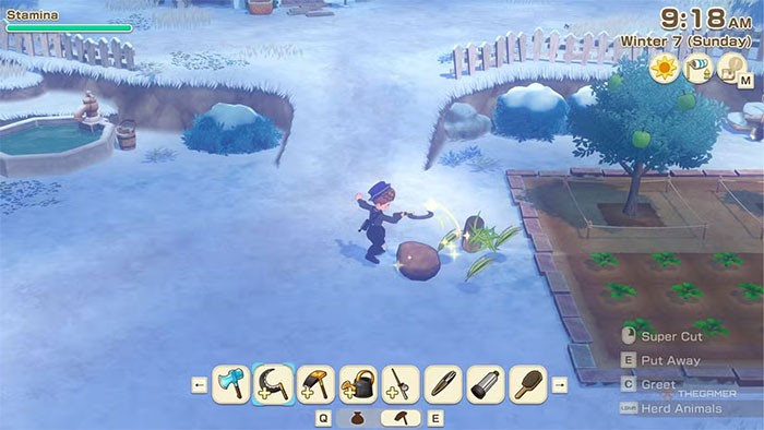 Story of Seasons: Grand Bazaar Tips for Beginners