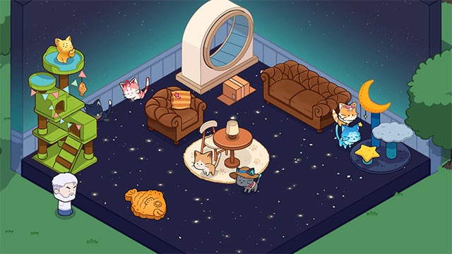 Đưa những chú mèo hoang về ngôi nhà của mèo Tom để vui chơi và tương tác