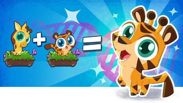 Lai tạo động vật để làm phong phú cho sở thú của bạn