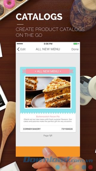 Thiết kế catalog