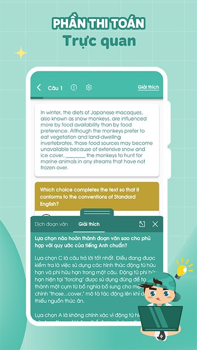 Migii Skool 4*453900