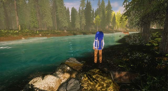 Cảm nhận sự tự do và những bài học cuộc sống ý nghĩa