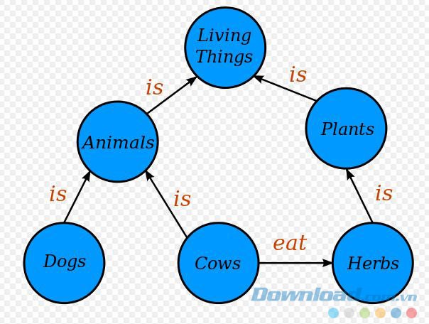 Vẽ bản đồ tư duy chuyên nghiệp