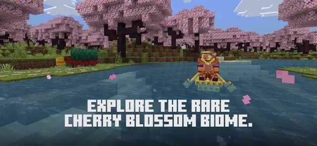 Khám phá nhiều quần xã tuyệt đẹp