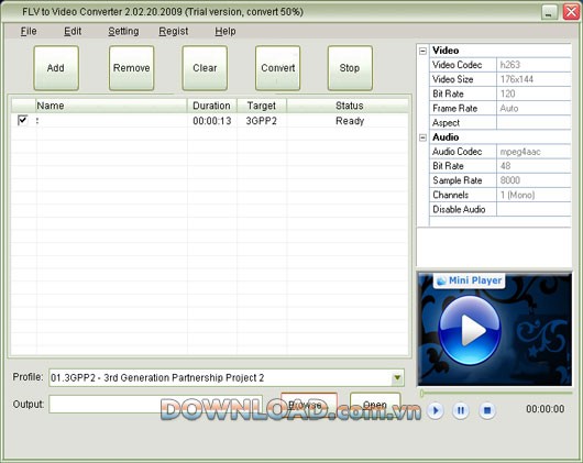 Mini FLV to Video Converter