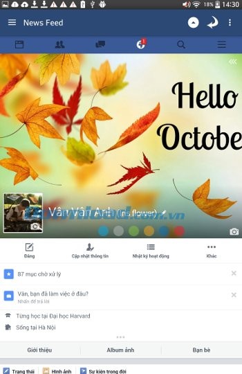 Trang cá nhân với Mini For Facebook