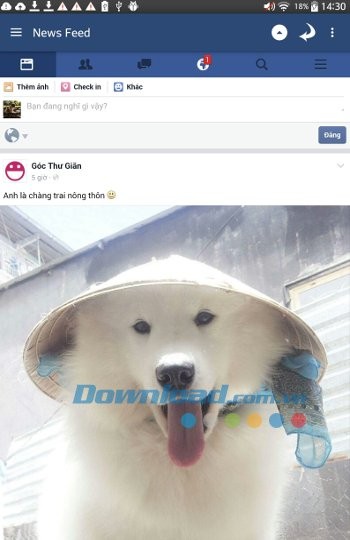 Dòng thời gian trên Mini For Facebook