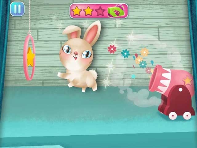 Giúp các vật nuôi hoàn thành mọi thử thách trong cuộc thi