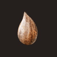 Mitoza cho Android: Game phiêu lưu siêu thực trên di động