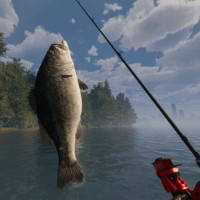 MLF: Pro Catch - Trải nghiệm game câu cá đỉnh cao