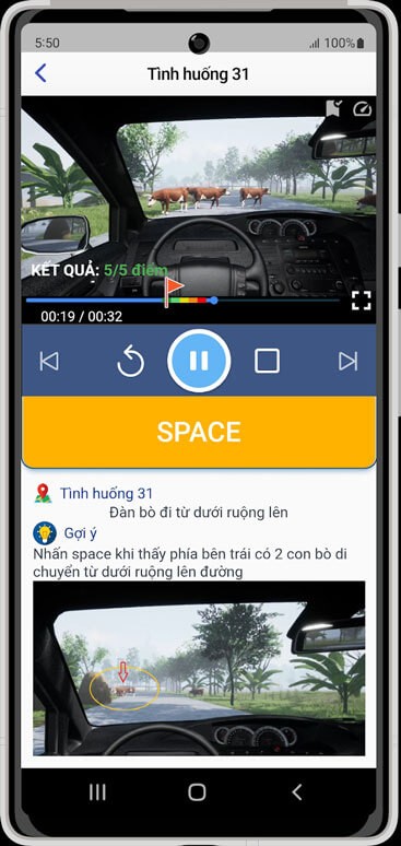 Cung cấp chế độ ôn tập chi tiết
