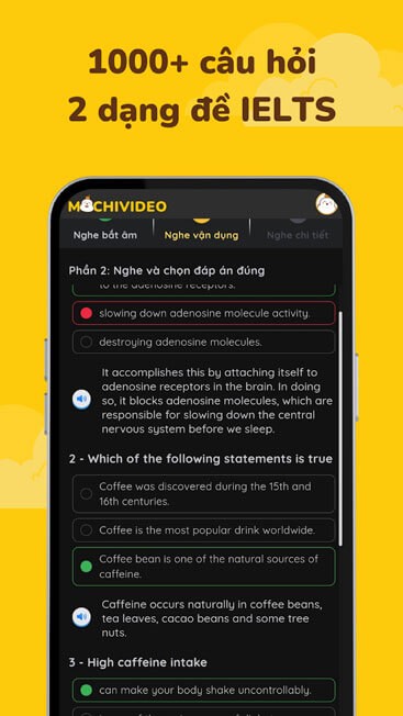 Hơn 1000 câu hỏi luyện IELTS