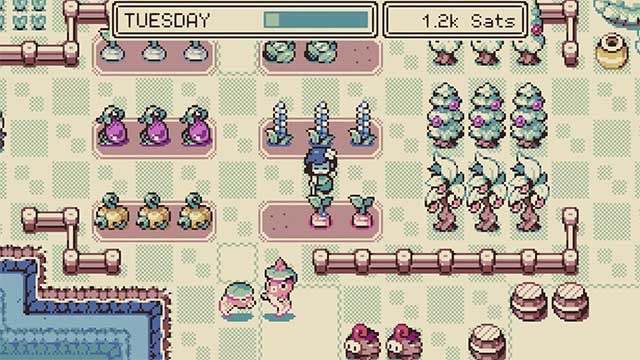 Trồng cây, thu hoạch trái cây hoặc thư giãn với MoN mà bạn đã bắt được