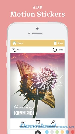 Trang trí ảnh bằng sticker động