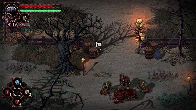 Khám phá một loạt môi trường đa dạng