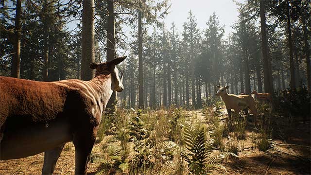 Thế giới sandbox rộng lớn để bạn khám phá và chiến đấu