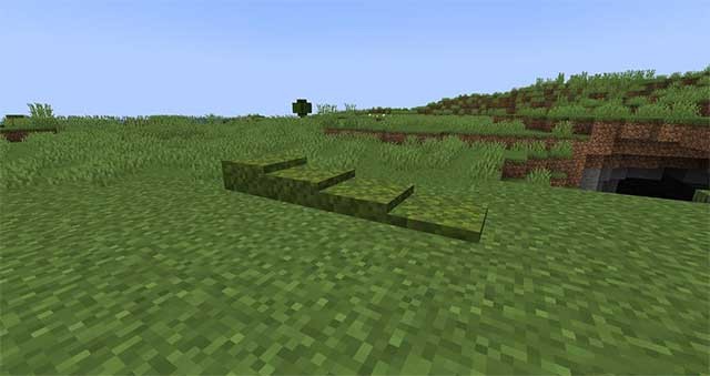 Bạn có thể xếp chồng các lớp rêu lên nhau để tạo ra một cầu thang tự nhiên