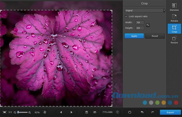 Sử dụng tính năng cắt xén của ứng dụng chỉnh sửa ảnh Movavi Photo DeNoise cho máy tính