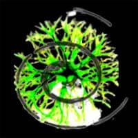 MP4 Stream Editor 3.4.5.3506 - Phần mềm chỉnh sửa file MP3