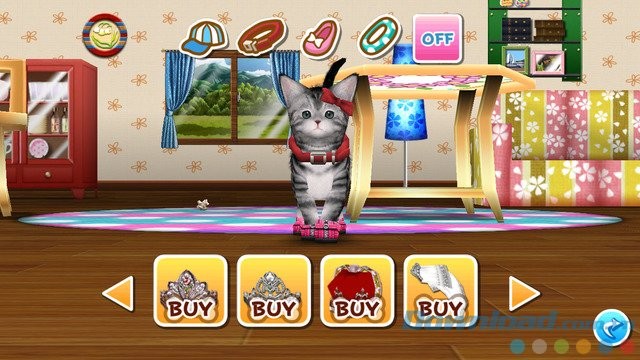 Mua phụ kiện cho mèo