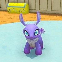 My Daily Pets - Game Nuôi Thú Cưng Ngoài Không Gian