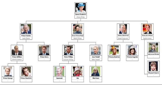 My Family Tree là phần mềm lập gia phả trực quan