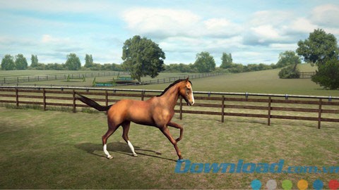 My Horse for Android