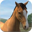 My Horse for iOS 1.11: Game Chăm Sóc Ngựa Trên iPhone/iPad