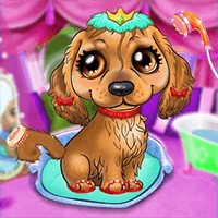 My Puppy Salon: Game Chăm Sóc Thú Cưng & Tô Màu Theo Số