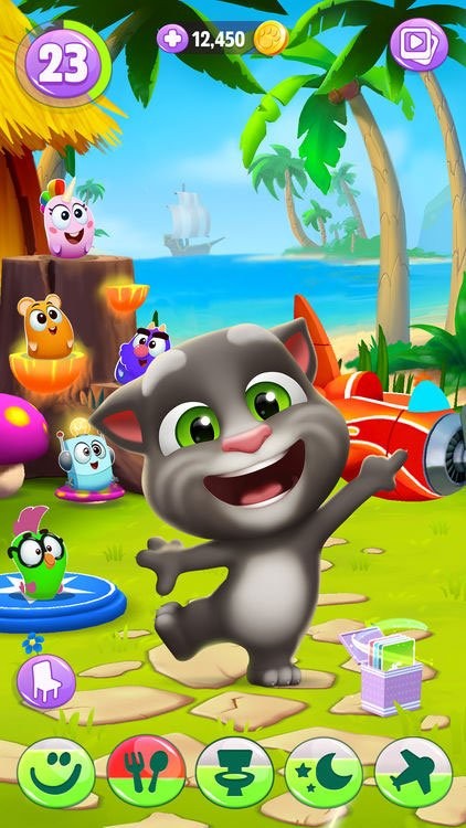 Nhận nuôi một chú mèo nhỏ bé dễ thương