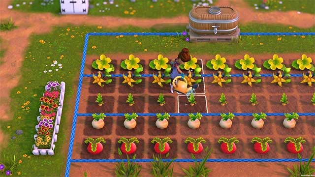 Tìm cách tốt nhất để phát triển cây trồng sao cho phù hợp với thiên nhiên