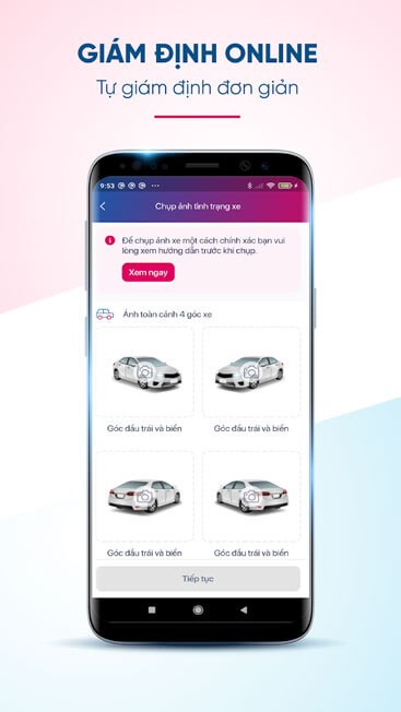 Giám định online