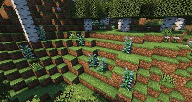 Nature Expansion Mod sẽ làm phong thêm cho thế giới Overworld và nhiều địa điểm khác