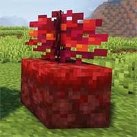 Nears Mod: Trồng Trái Cây Dưới Nether - Minecraft