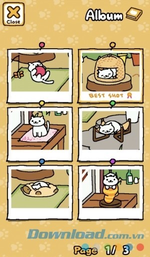 Neko Atsume: Kitty Collector cho Android hỗ trợ tính năng chụp ảnh