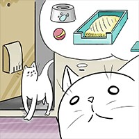 NEKOTO - Game cuộc sống ở thị trấn mèo con