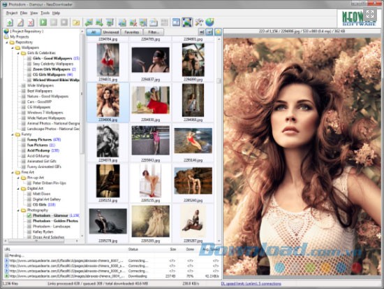 Giao diện phần mềm NeoDownloader