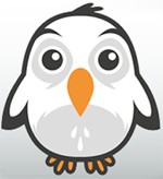 Netcam Studio 0.9.8.10 - Phần mềm quay video giám sát