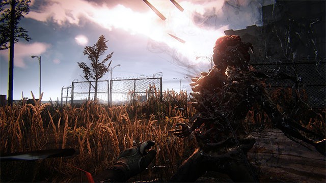 Phiêu lưu khám phá thế giới thời kỳ hậu tận thế