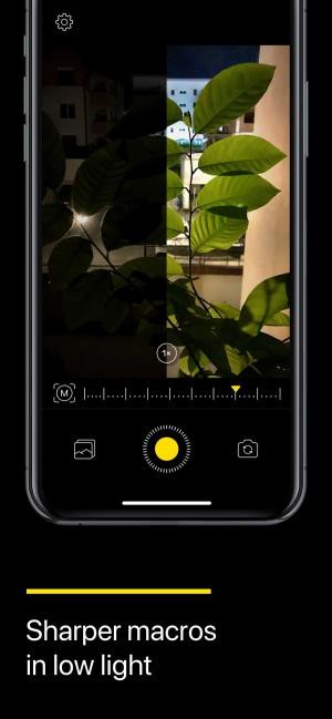 Chụp macro trong điều kiện ánh sáng yếu