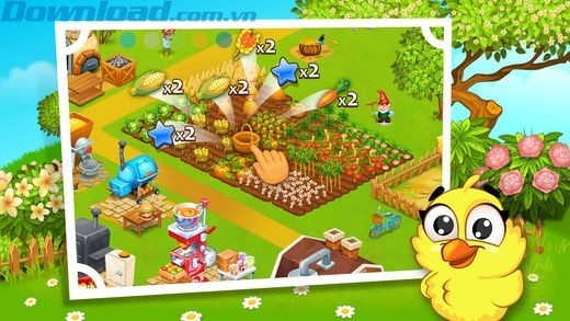 Trồng các loại cây hoa màu và thu hoạch